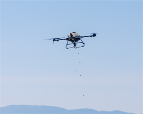 Zaposlenici Hrvatskog Telekoma pošumljavali područje Rijeke uz pomoć dronova